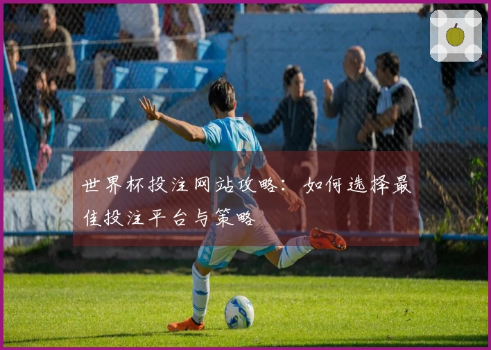 世界杯投注网站攻略：如何选择最佳投注平台与策略