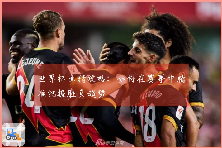 世界杯竞猜攻略：如何在赛事中精准把握胜负趋势