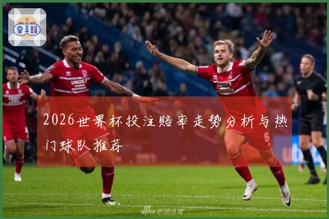 2026世界杯投注赔率走势分析与热门球队推荐