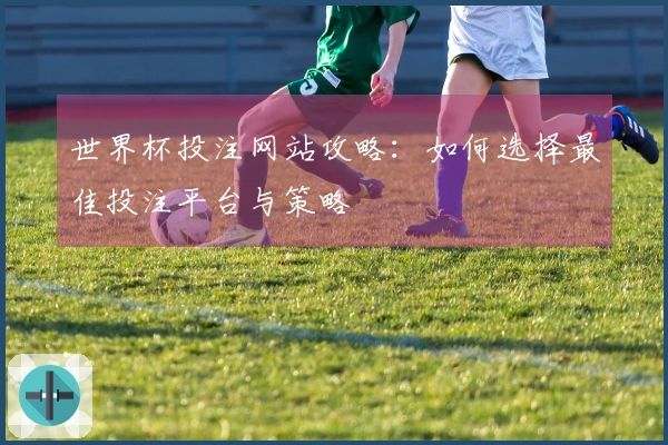 世界杯投注网站攻略：如何选择最佳投注平台与策略