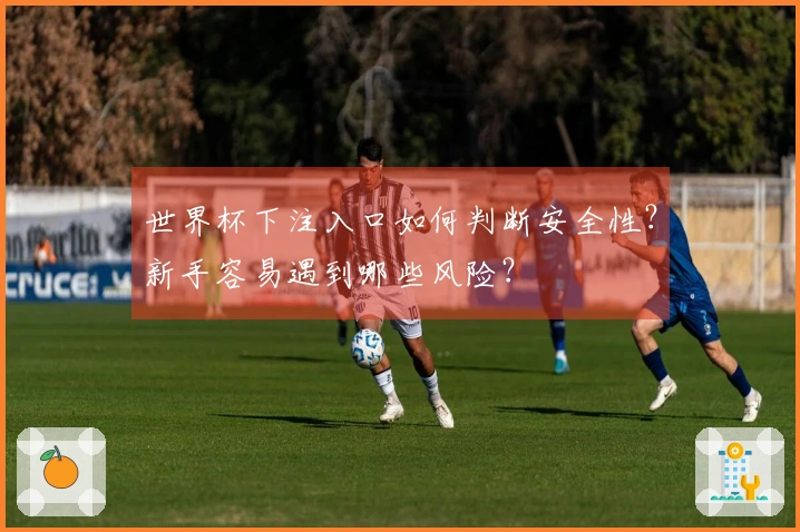 世界杯下注入口如何判断安全性？新手容易遇到哪些风险？