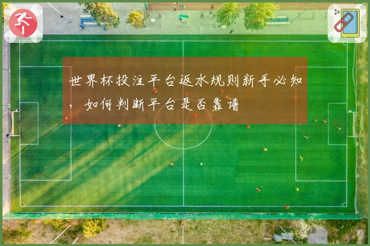 世界杯投注平台返水规则新手必知，如何判断平台是否靠谱