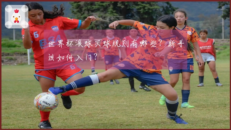 世界杯滚球买球规则有哪些？新手该如何入门？