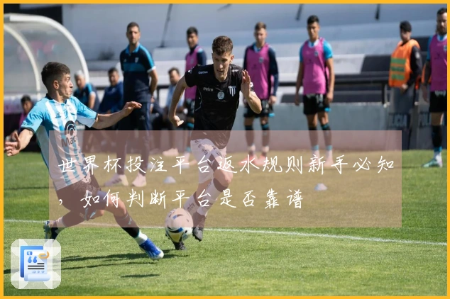 世界杯投注平台返水规则新手必知，如何判断平台是否靠谱